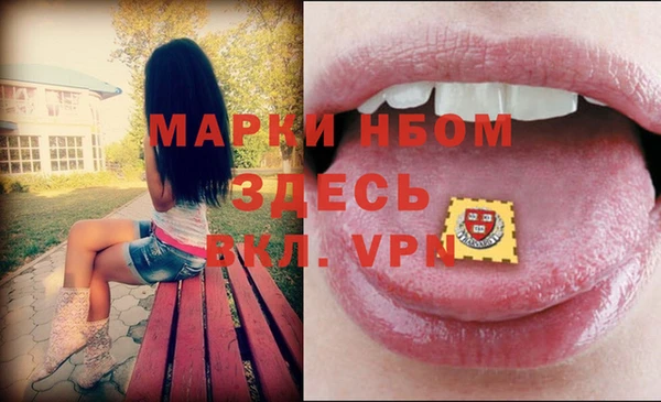 гашик Арсеньев