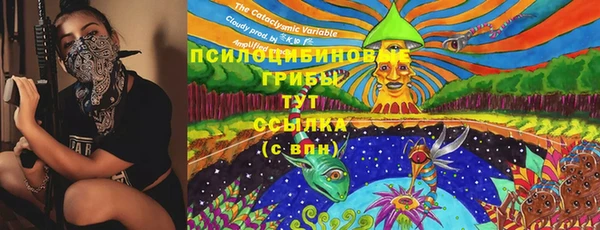 СК Аркадак