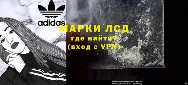 гашик Арсеньев