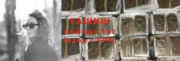 гашик Арсеньев